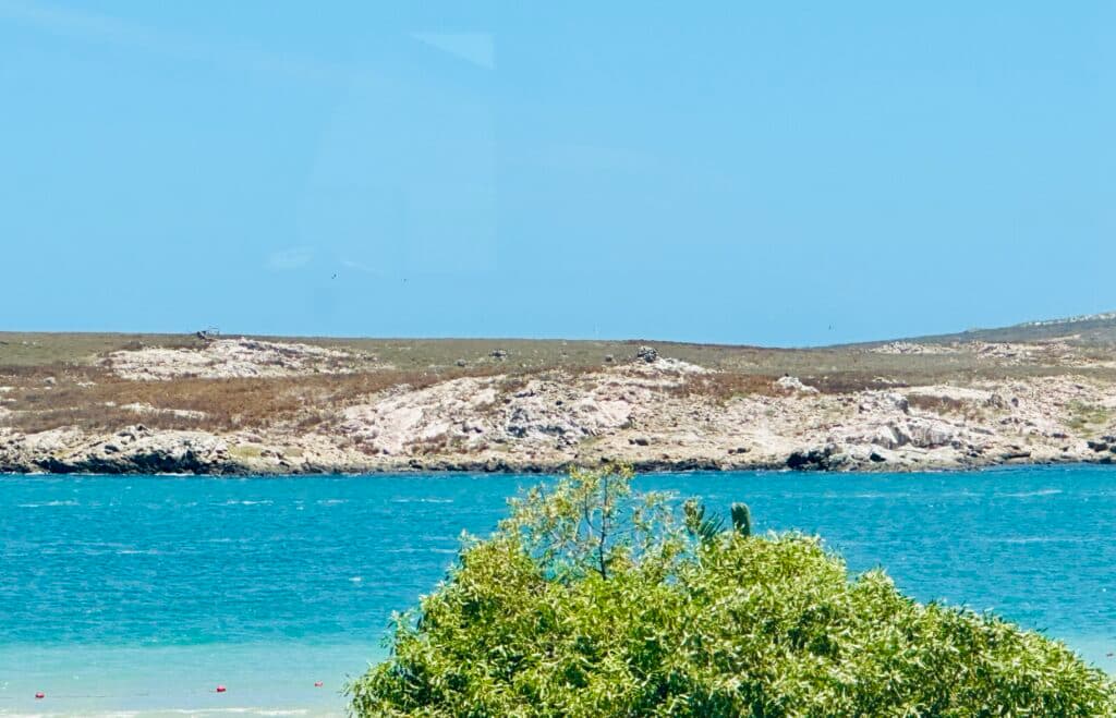 OysterRock Pad Five — view 2